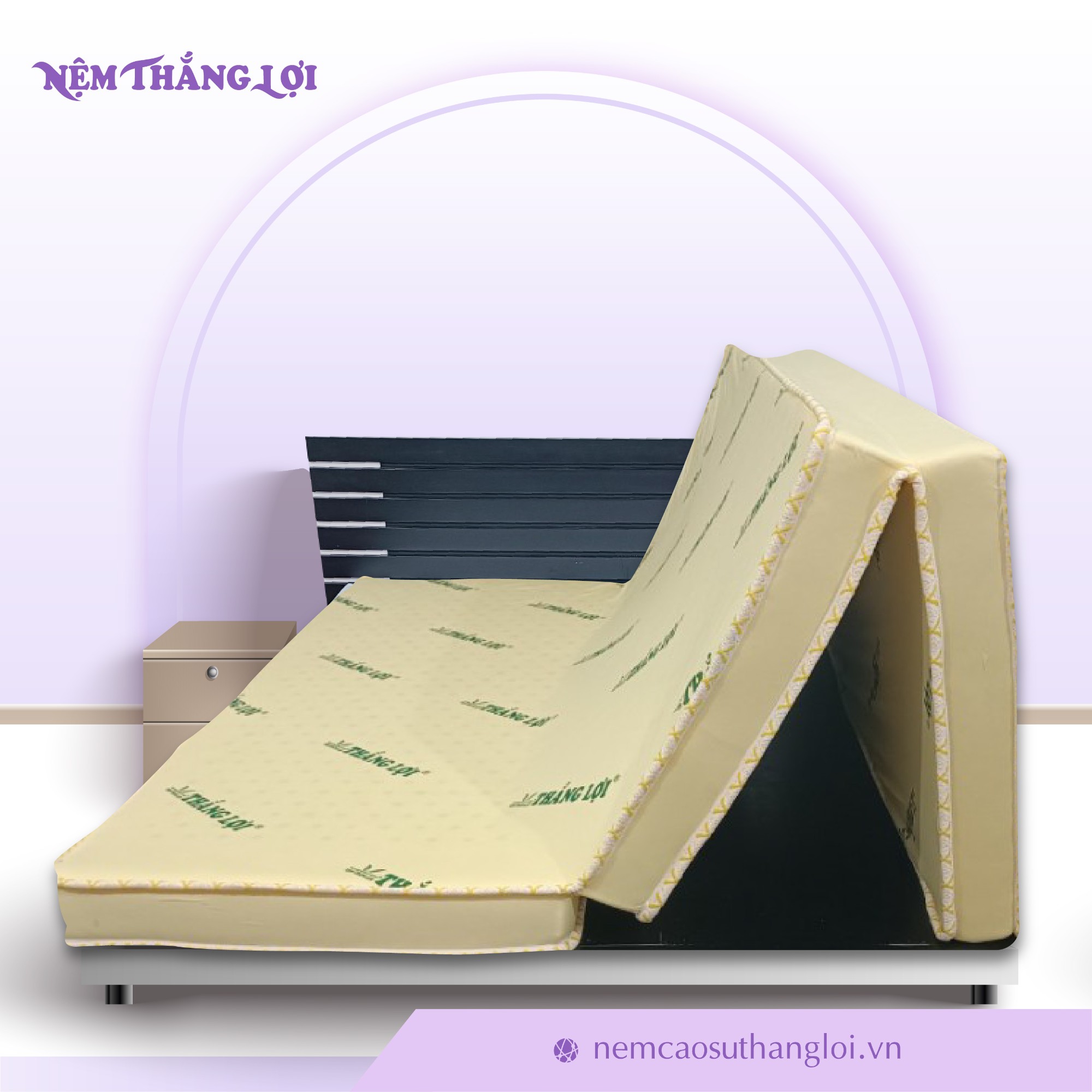 NỆM CAO SU NON THẮNG LỢI GẤP 3