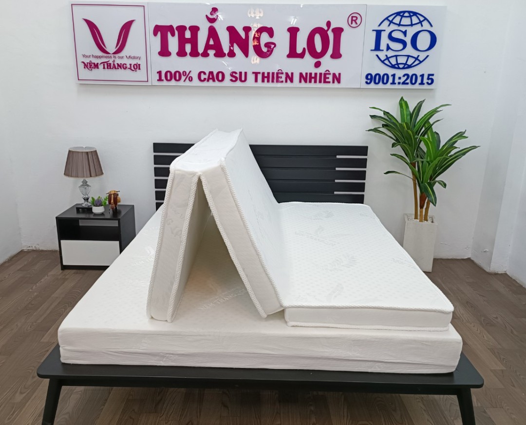 NỆM CAO SU WONDERFOAM THẮNG LỢI GẤP 3
