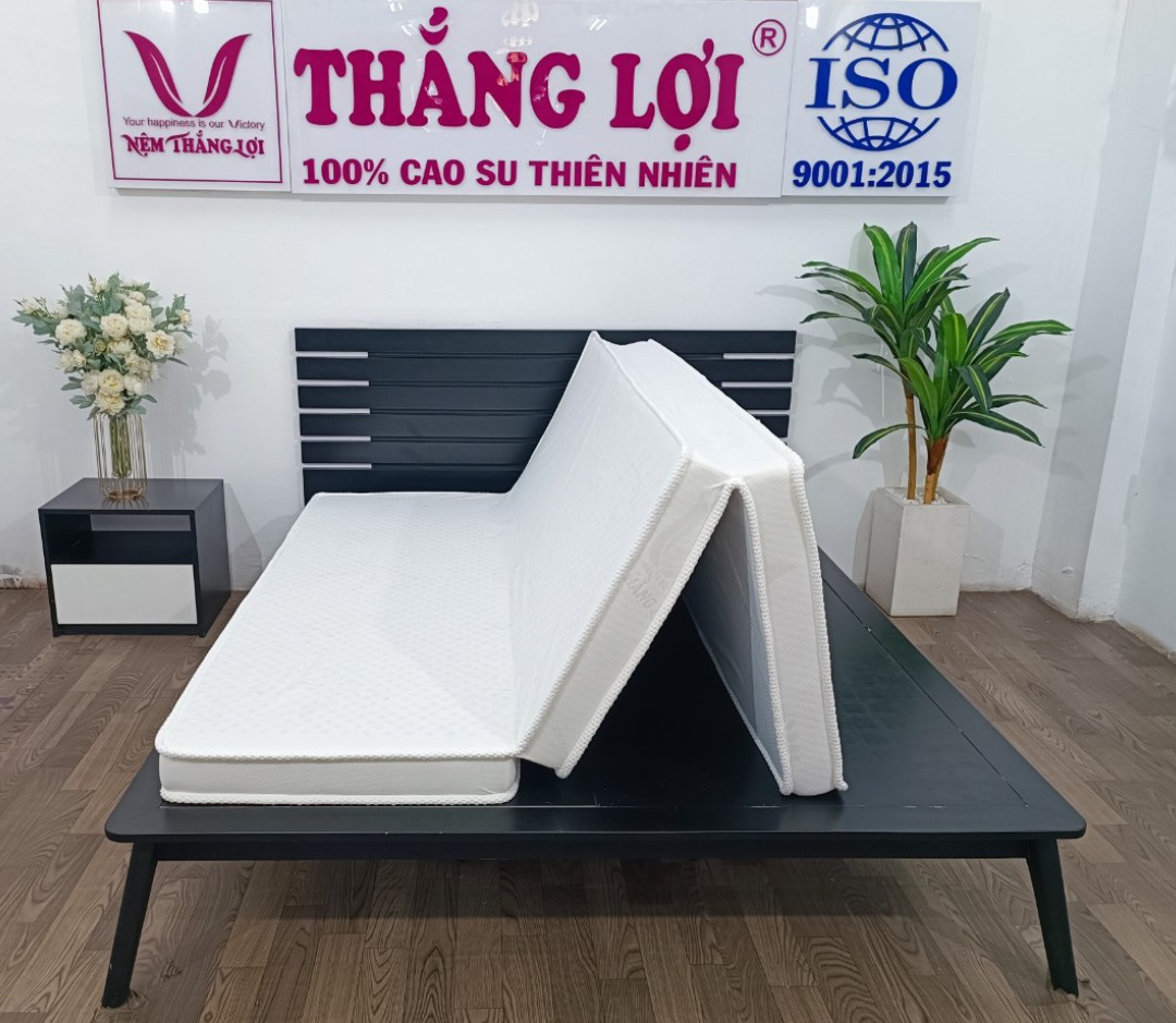 Nệm cao su wonderfoam thắng lợi gấp 3